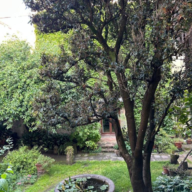 Casa Meris tra medioevo e oriente Viterbo centro - Ampia Camera Matrimoniale - 7