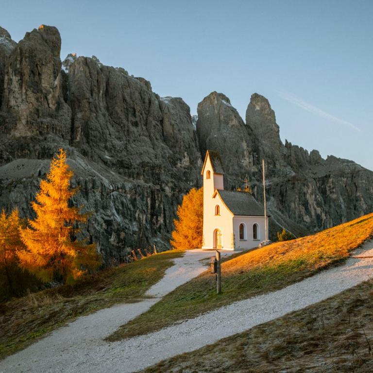 Hospiz Passo Gardena - Camera Matrimoniale con Vista Montagna - 3