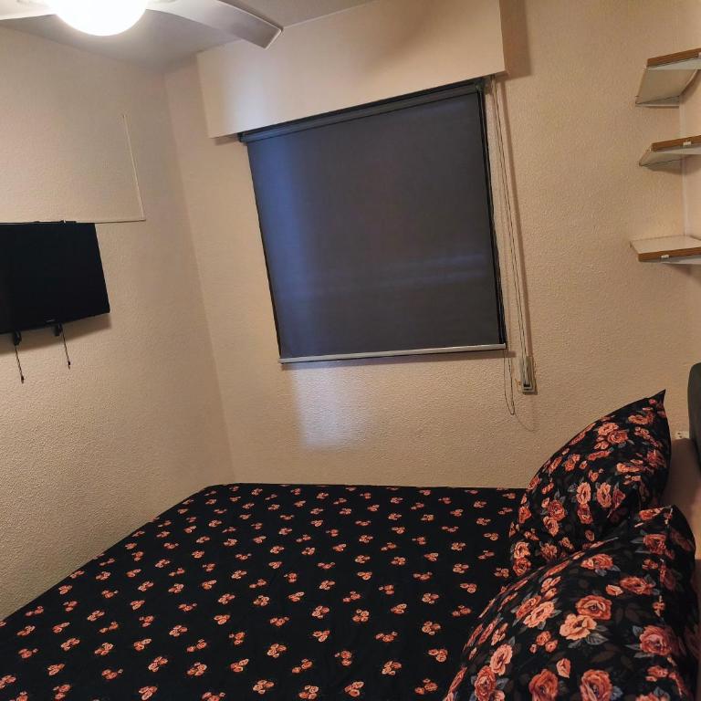 Galeon Magic World Marina d'Or Piscine Parking Plage - Apartamento de 2 dormitorios - 21