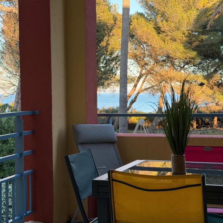 Appartement vue mer et pieds dans l'eau - Appartement 1 Chambre - 2