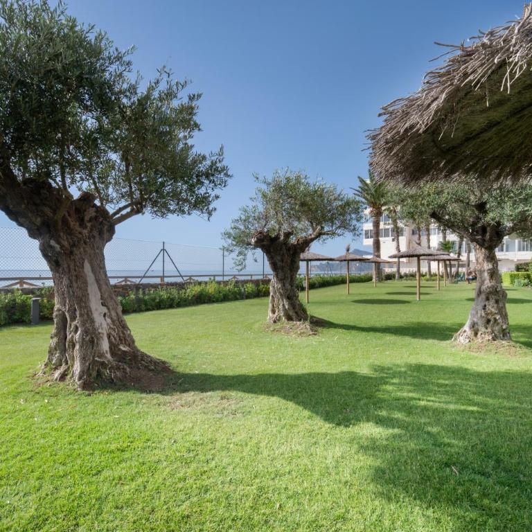 Costabella Altea - Apartamento Superior de 1 dormitorio con balcón - 22
