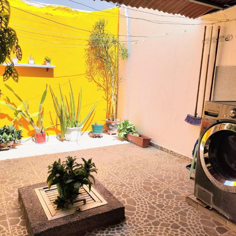Bona Vida Casa - Casa de 2 dormitorios - 23