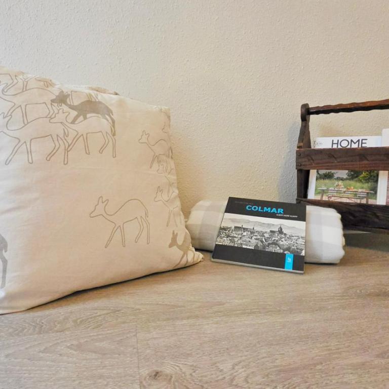 Au Cœur du Vieux Colmar - Appartement 1 Chambre - 15