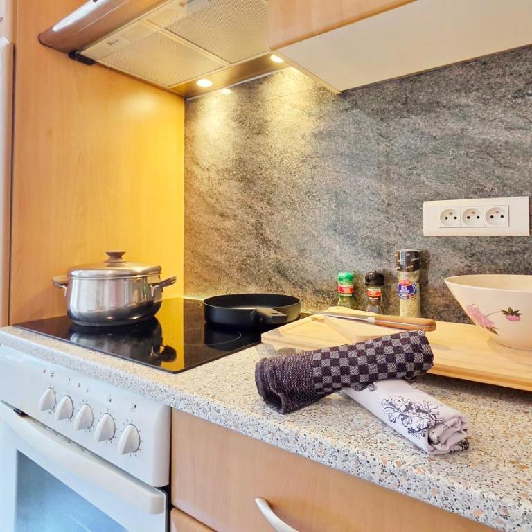Au Cœur du Vieux Colmar - Appartement 1 Chambre - 18