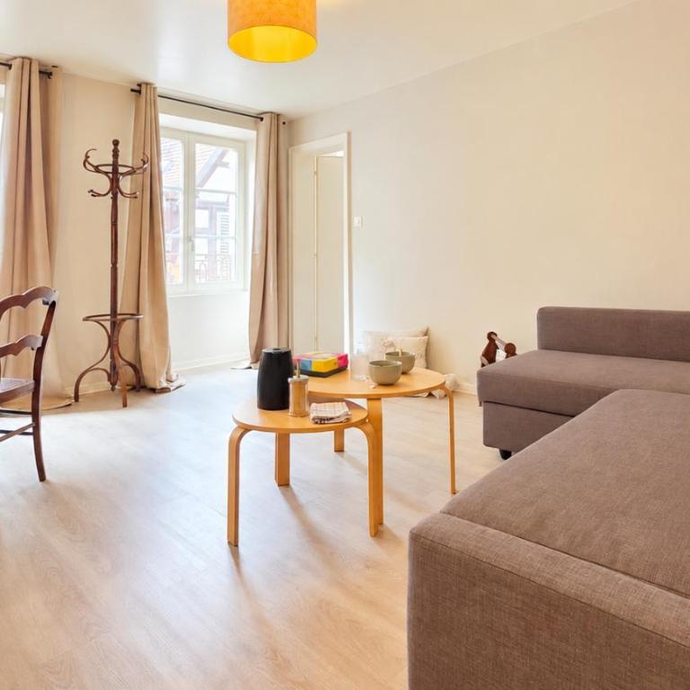 Au Cœur du Vieux Colmar - Appartement 1 Chambre - 2