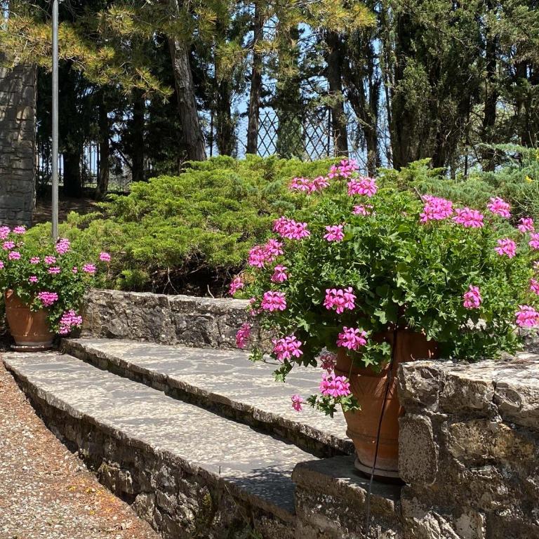 Villa Poggio Tondo by VacaVilla - Villa - 13