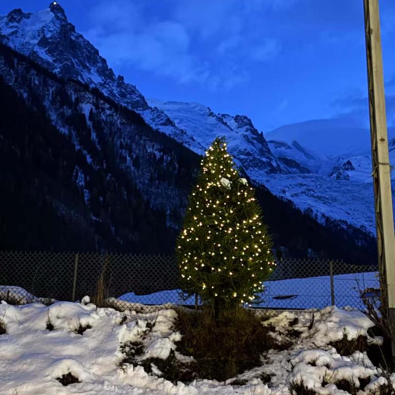 Chalet Grand Cru - Chalet - 33