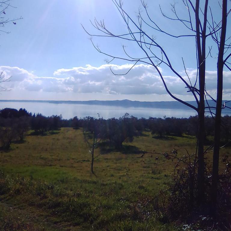 Casa Beatrice - Appartamento - 42