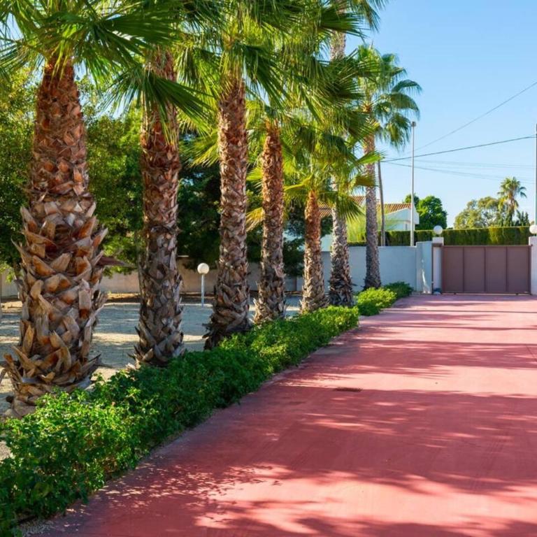 Fidalsa Luxurious Villa Salinas And Sea - Villa - 18