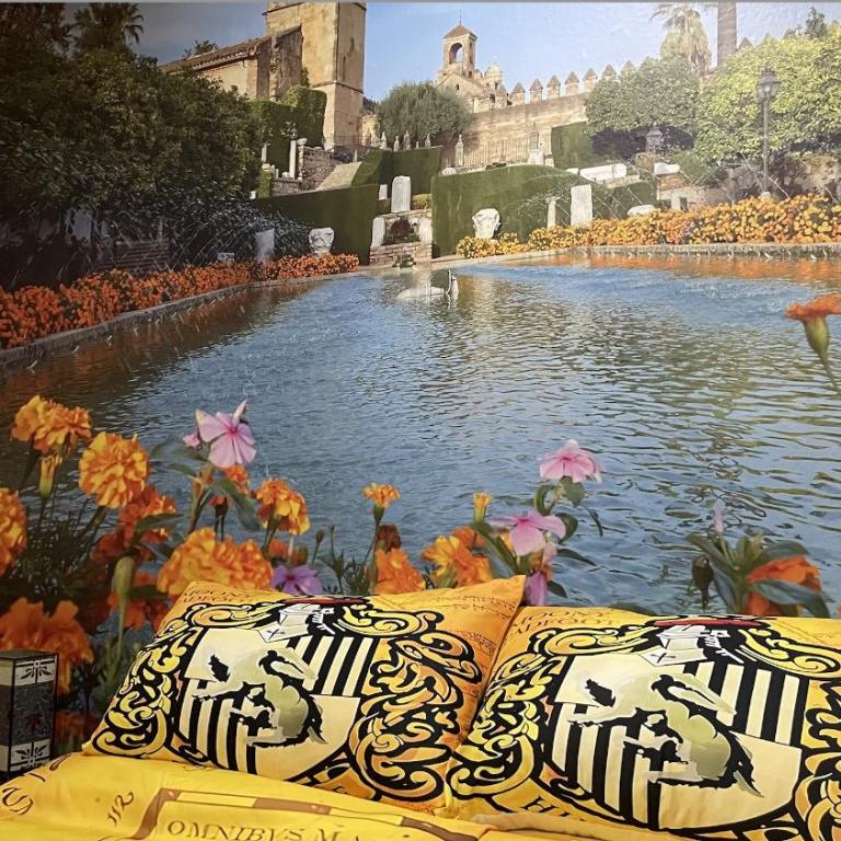 Córdoba Mágica - Alojamiento Temático Centro - Apartment mit 3 Schlafzimmern - 17