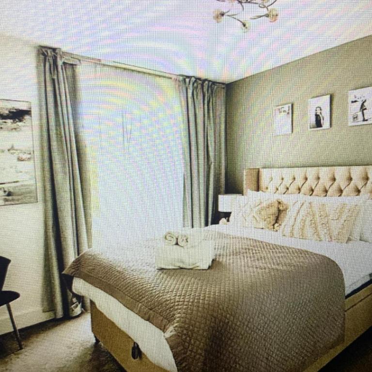 Le Jardin Saint Dominique - Apartment mit 1 Schlafzimmer - 1