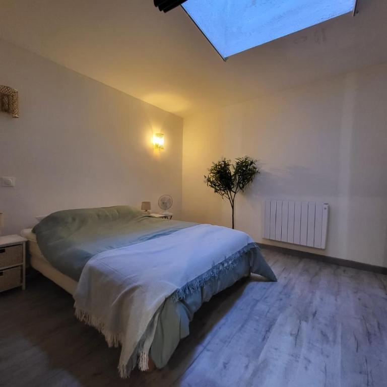 Ibanez - 2264 - Appartement 1 Chambre - 2