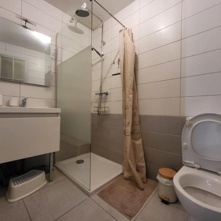 Ibanez - 2264 - Appartement 1 Chambre - 3
