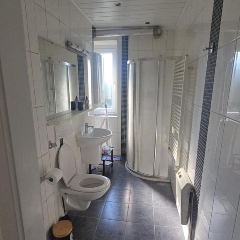 Fully furnished 1 bedroom apartment in Linz - Apartment mit 1 Schlafzimmer - 6