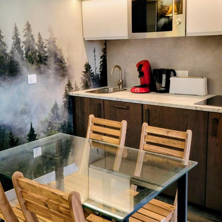 Studio rénové 4 pers, ski aux pieds, balcon - Studio - 4