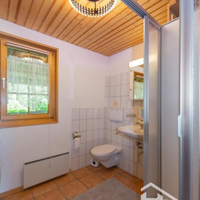 Chalet Anschi - Apartment mit 1 Schlafzimmer - 53