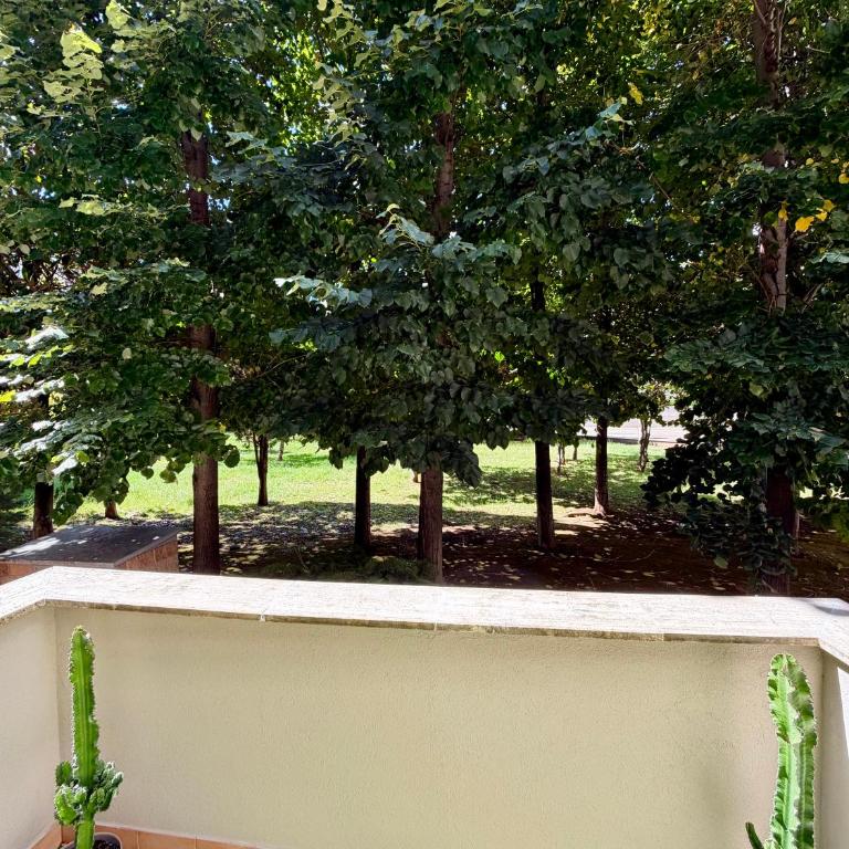 Giardini di Marzo Casa Vacanza Eur - Appartamento con 1 Camera da Letto e con Giardino - 16