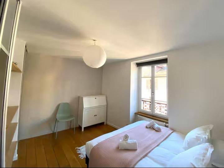 Annecy City, au cœur de la vieille ville - Appartement - 21
