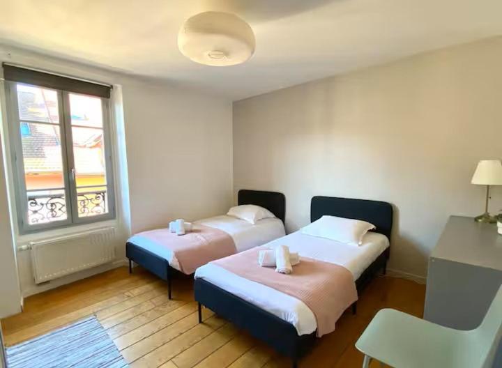 Annecy City, au cœur de la vieille ville - Appartement - 24