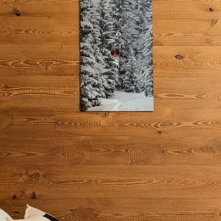 L'Ours Blanc – Studio 4p centre & pistes - Appartement - Rez-de-Chaussée - 16