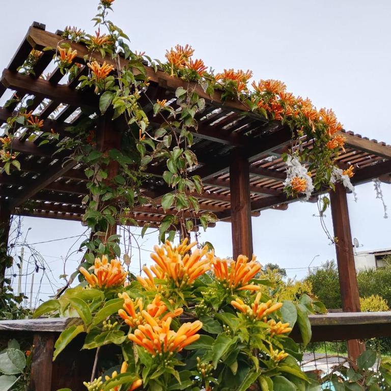 Beautiful house near the beach - Three-Bedroom Villa - 38
