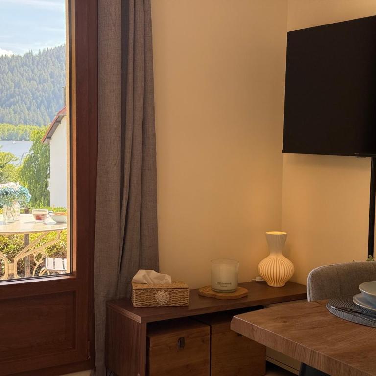 La Suite and Le Cocon, 2 apartments, balnéo avec vue lac - Appartamento con 3 Camere da Letto e Vista Lago - 15