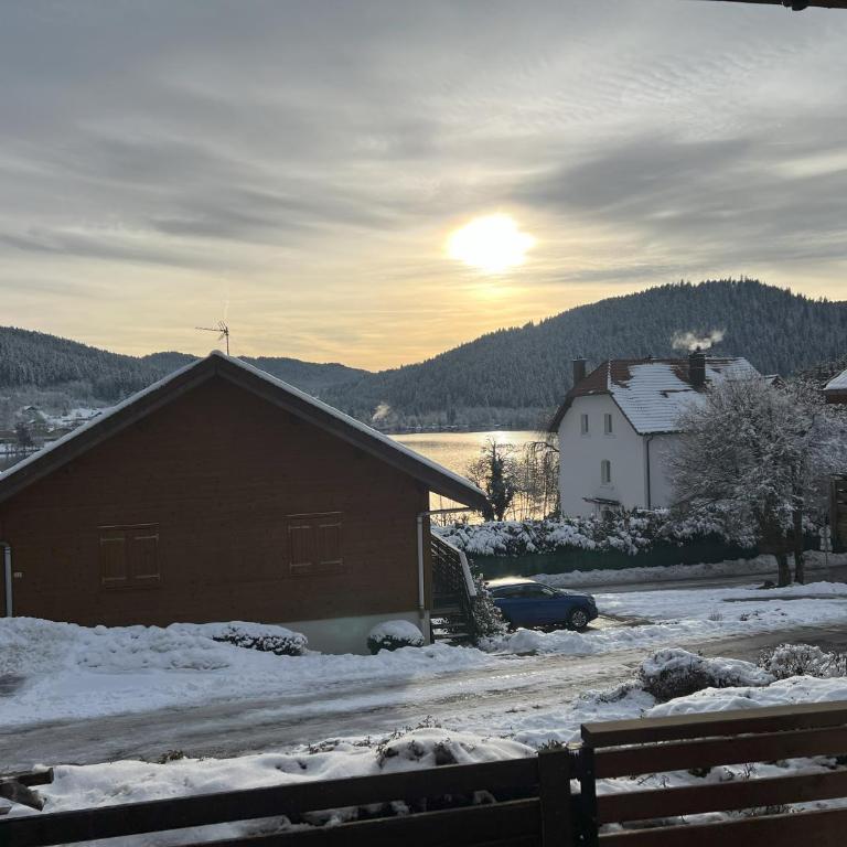 La Suite and Le Cocon, 2 apartments, balnéo avec vue lac - Appartamento con 3 Camere da Letto e Vista Lago - 14
