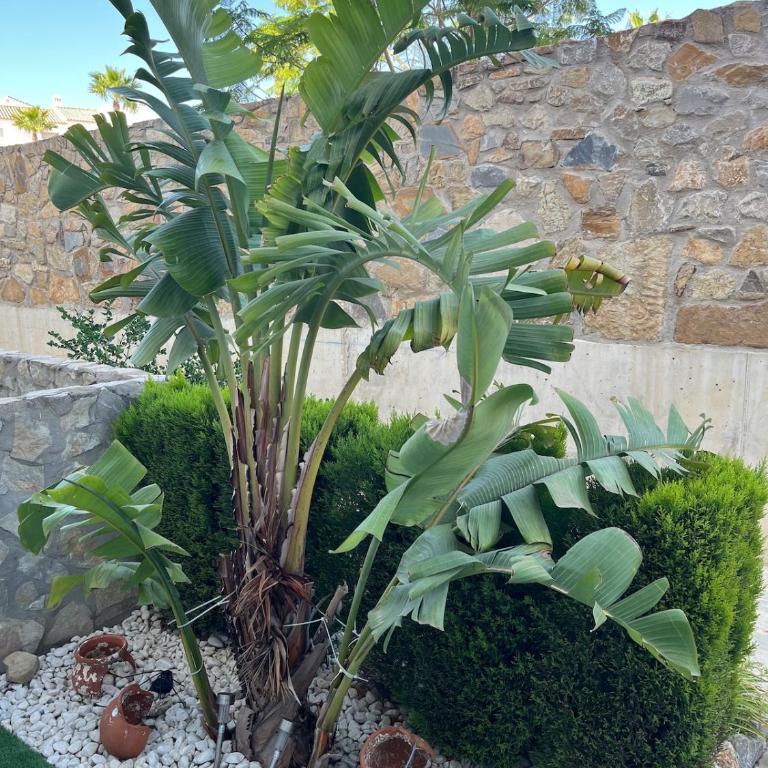 Preciosa casa en playa de Cádiz Atlanterra - Casa con 3 Camere da Letto - 4
