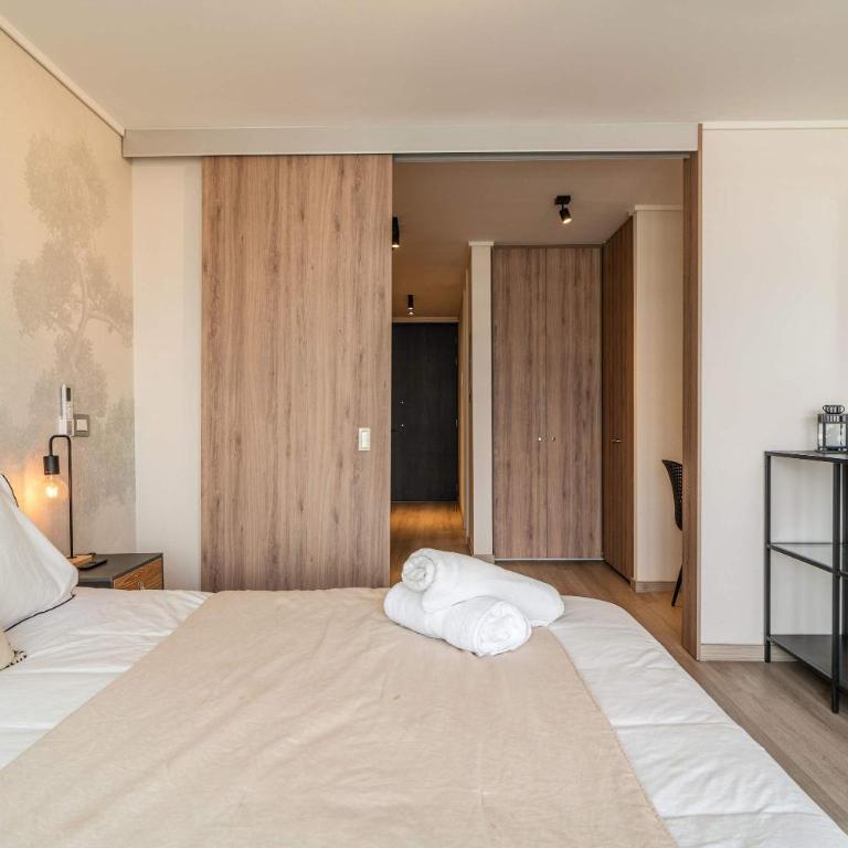 HOM ELITE I Las Condes I Wifi I Aire Acondicionado - Apartment - 12