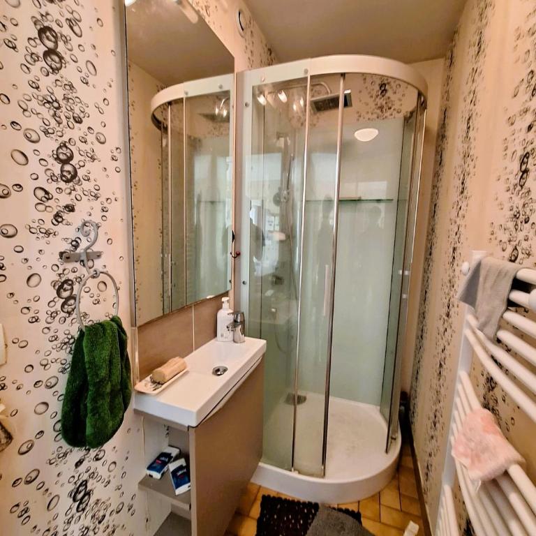 Maison aux Camelias - Maison 4 Chambres - 8