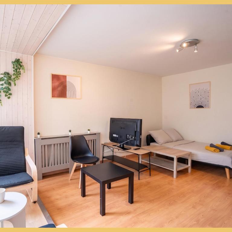Le Léman Loft I T2 I Annemasse - Appartement 1 Chambre - 6