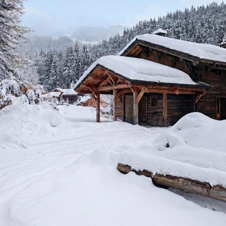 Hauts forts Prodains Avoriaz - Mountain Voyages - Chalet - 6