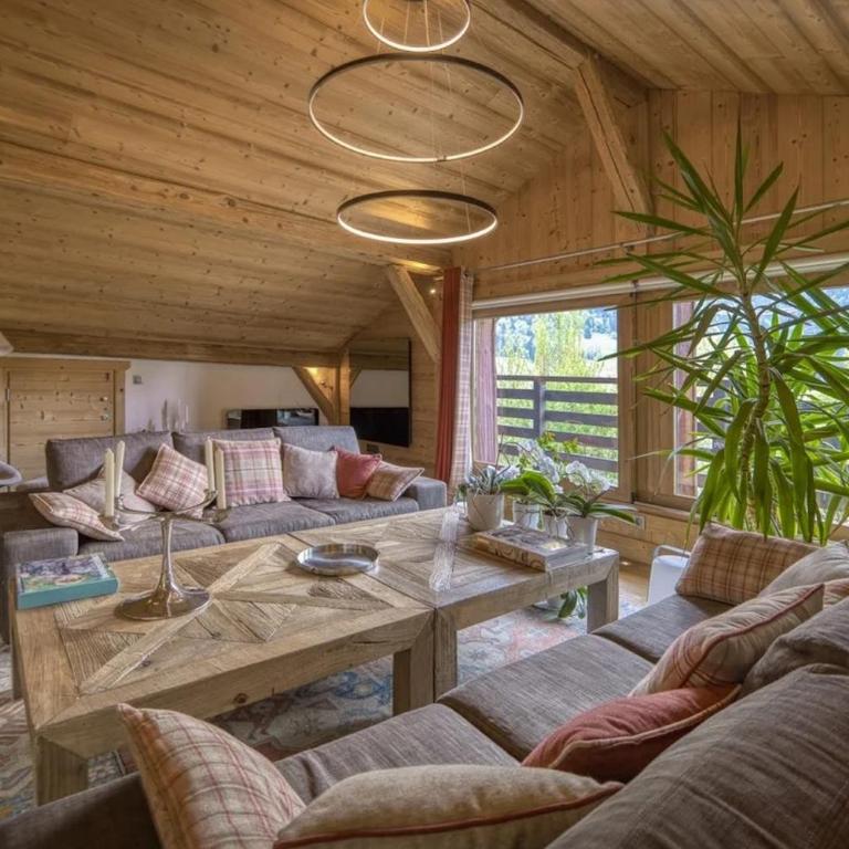 Very nice facing chalet with large terrace - Maison de Vacances - 3