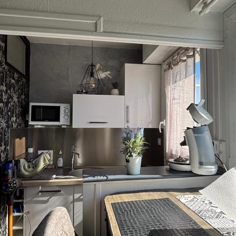 Studio cosy DE GAULE - Appartement 2 Chambres - 37