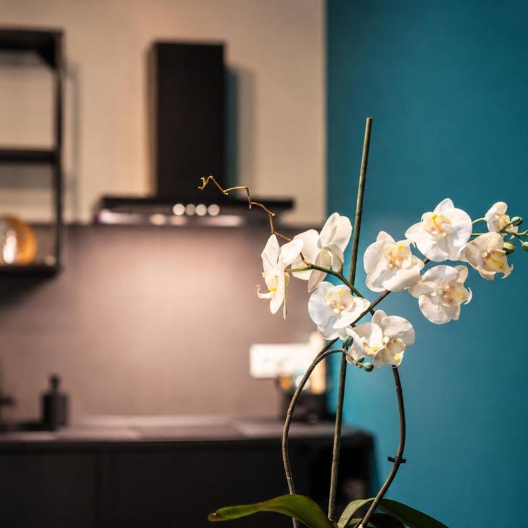 Oktò apartments Milazzo - Monolocale Standard - 9