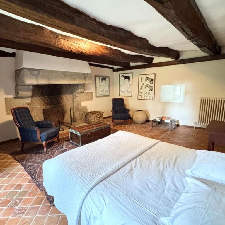 Longère d’époque au coeur d’un domaine - Haus mit 5 Schlafzimmern - 36