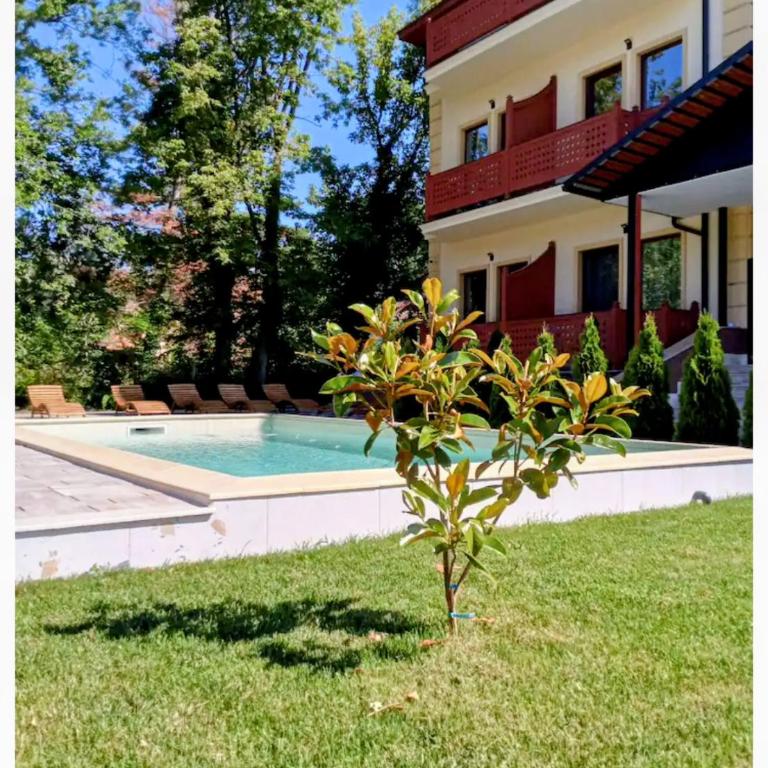 Apartman Jezerska1 - Appartement 1 Chambre - 14