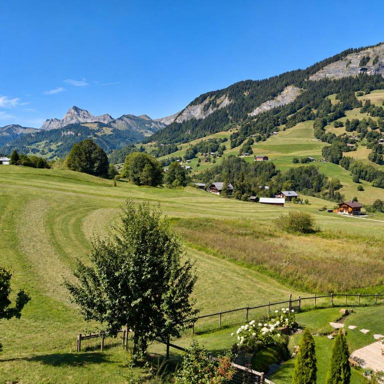 Chalet Papillon - Piscine - 2 minutes des pistes - Chalet Supérieur - 46