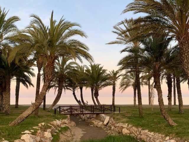 Piso Carmela en la playa de Torremolinos - Apartamento de 1 dormitorio - 17