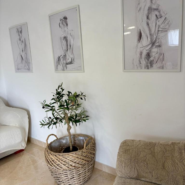 Apartments Jelena - Apartman sa 2 Spavaće Sobe, Balkonom i Pogledom na More - 13