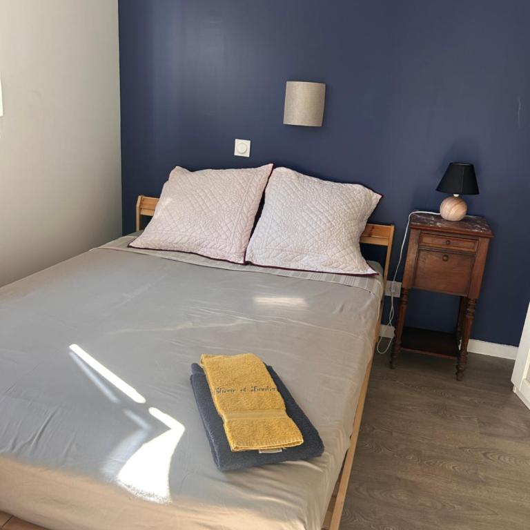 Studio rénové avec parking et jardin privés - Appartement 1 Chambre - 6