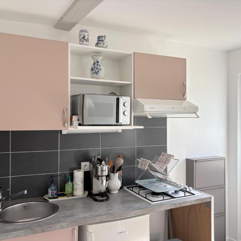 Studio rénové avec parking et jardin privés - Appartement 1 Chambre - 15