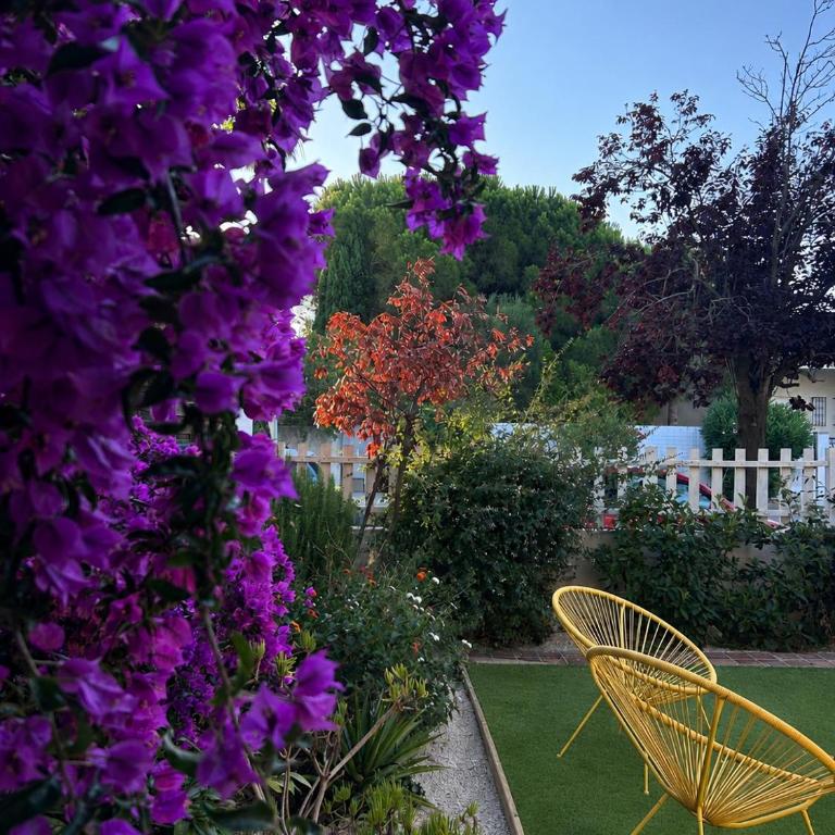 Villa Samarah Canet-Plage piscine 800m plage - Villa - 9