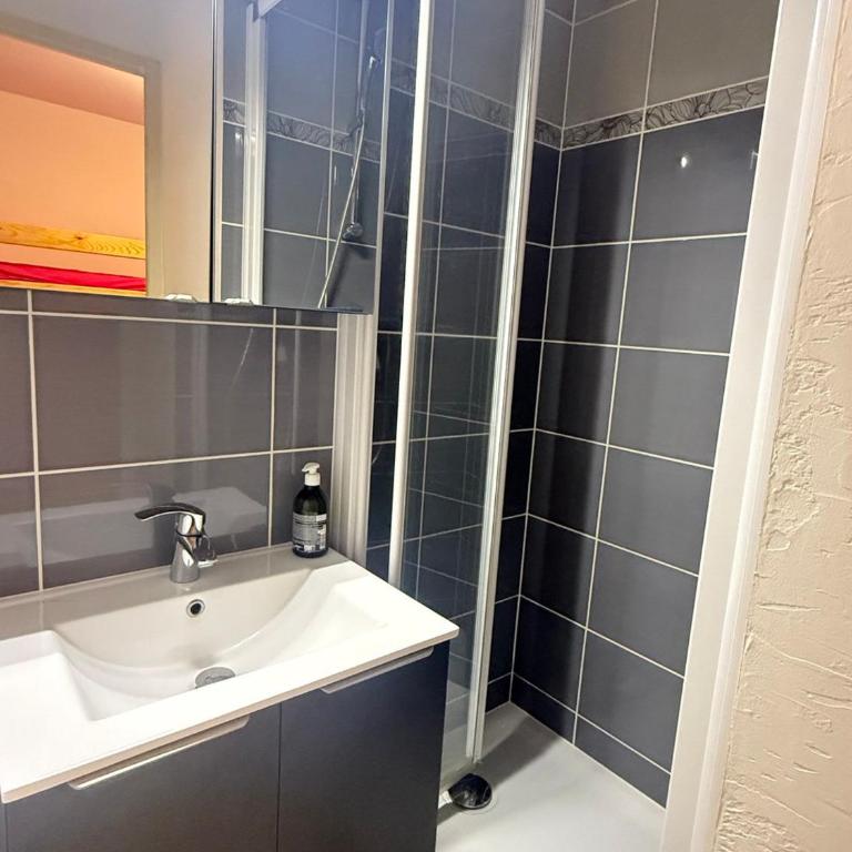 Studio cabine 4 pers avec balcon aux Adrets-Prapoutel - Appartement 1 Chambre - 9
