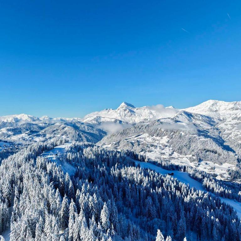 Duplex cosy pour 5 personnes près des pistes avec parking à Espace Diamant - FR-1-505-152 - Apartment (5 Adults) - 14