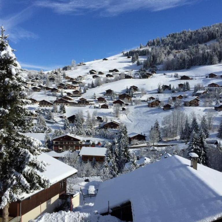 Duplex 3 Chambres, 6 Pers, sur Pistes, Parking - FR-1-459-48 - Appartement (6 Adultes) - 12