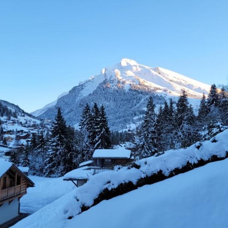 Duplex 3 Chambres, 6 Pers, sur Pistes, Parking - FR-1-459-48 - Appartement (6 Adultes) - 13