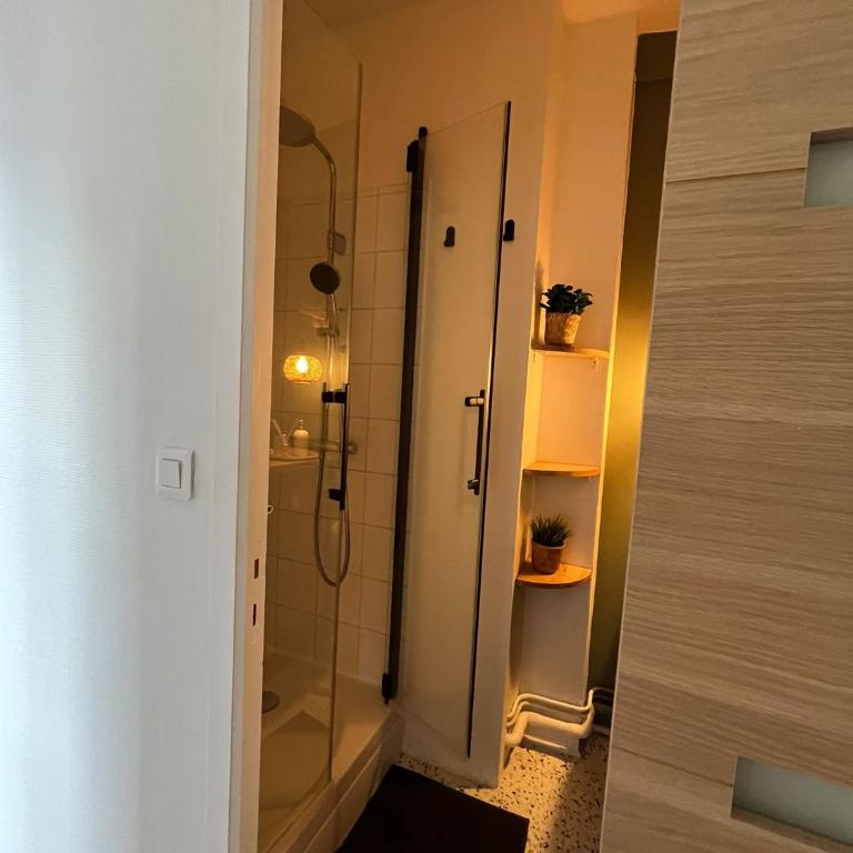 Appartement Saint Amand - Appartement 1 Chambre - 12