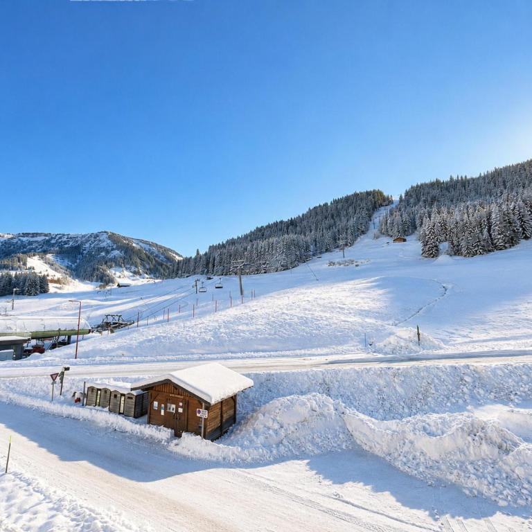 Appartement neuf duplex, ski-in/ski-out, WiFi, parking - FR-1-505-190 - Appartement - 1