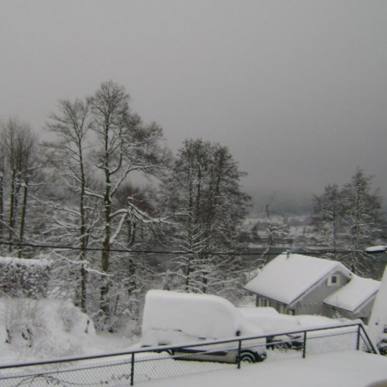 Appartement Amonidée proche du lac de Gérardmer - Appartement - 19